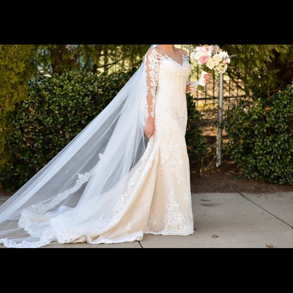 Pronovias Wedding dress + veil - Picture 5 of 8